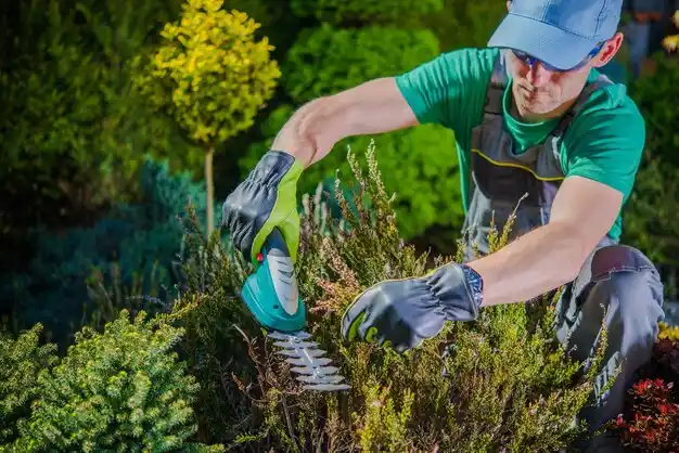 landscaping services Licking